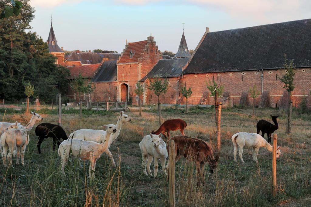 Apartmán Kasteel Nieuwenhoven Sint-Truiden Exteriér fotografie
